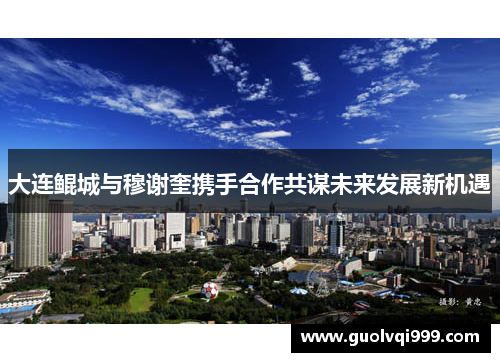 大连鲲城与穆谢奎携手合作共谋未来发展新机遇