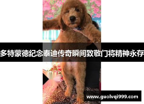 多特蒙德纪念泰迪传奇瞬间致敬门将精神永存