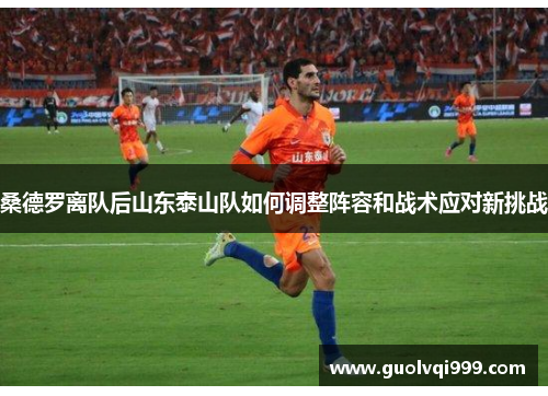 桑德罗离队后山东泰山队如何调整阵容和战术应对新挑战 桑德罗离队后山东泰山队如何调整阵容和战术应对新挑战