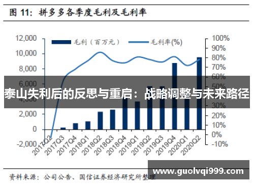 泰山失利后的反思与重启：战略调整与未来路径
