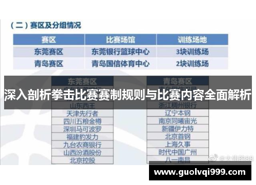 深入剖析拳击比赛赛制规则与比赛内容全面解析
