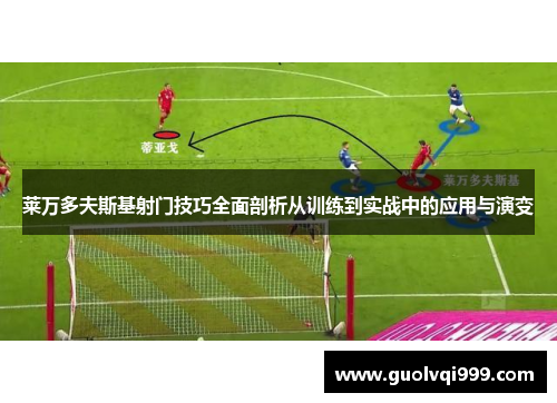 莱万多夫斯基射门技巧全面剖析从训练到实战中的应用与演变